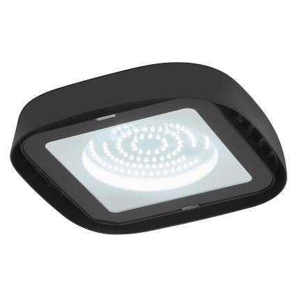 Ledvance - Βιομηχανικό φωτιστικό οροφής LED HIGHBAY LED/80W/230V IP65 6500K