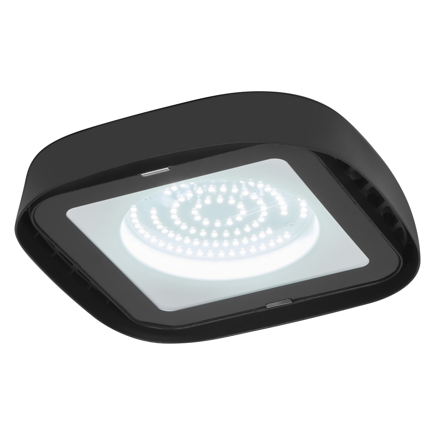 Ledvance - Βιομηχανικό φωτιστικό οροφής LED HIGHBAY LED/80W/230V IP65 6500K