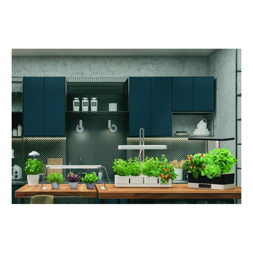 Ledvance - Εσωτερικό LED φως για φυτά GARDEN LIGHT LED/14W/230V