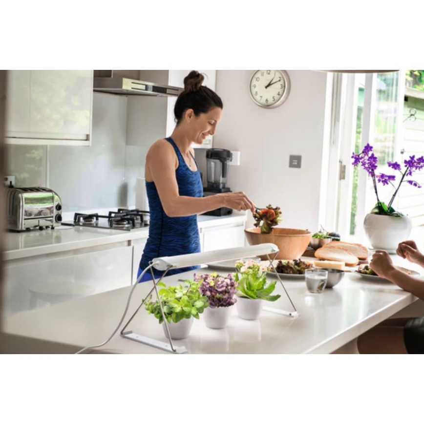 Ledvance - Εσωτερικό LED φως για φυτά GARDEN LIGHT LED/14W/230V