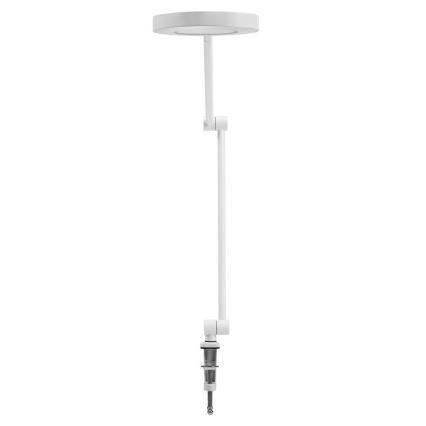 Ledvance - Λάμπα dimming LED με κλιπ SUN@HOME LED/15W/230V 2200-5000K CRI 95 Wi-Fi