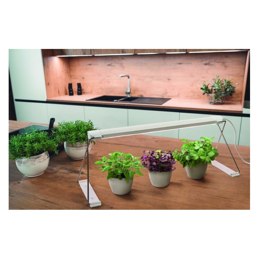 Ledvance - Λάμπα LED εσωτερικού χώρου GARDEN LIGHT LED/14W/230V