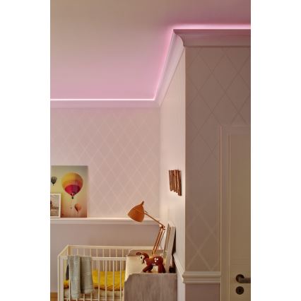 Ledvance - Ταινία LED RGB dimming εξωτερικού χώρου FLEX 3m LED/19W/230V IP44 + τηλεχειριστήριο