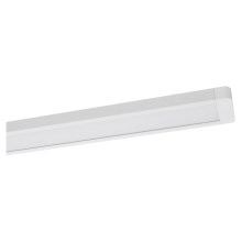 Ledvance - Φωτιστικό οροφής LED OFFICE LINE LED/48W/230V