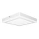 Ledvance - Φωτιστικό οροφής LED SQUARE LED/18W/230V