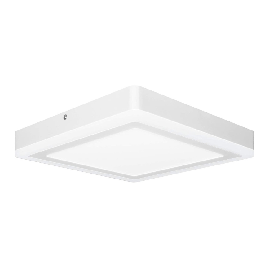 Ledvance - Φωτιστικό οροφής LED SQUARE LED/18W/230V