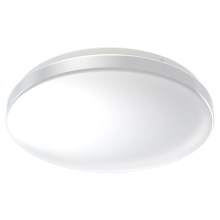 Ledvance - Φωτιστικό οροφής μπάνιου LED CEILING ROUND LED/24W/230V 6500K IP44