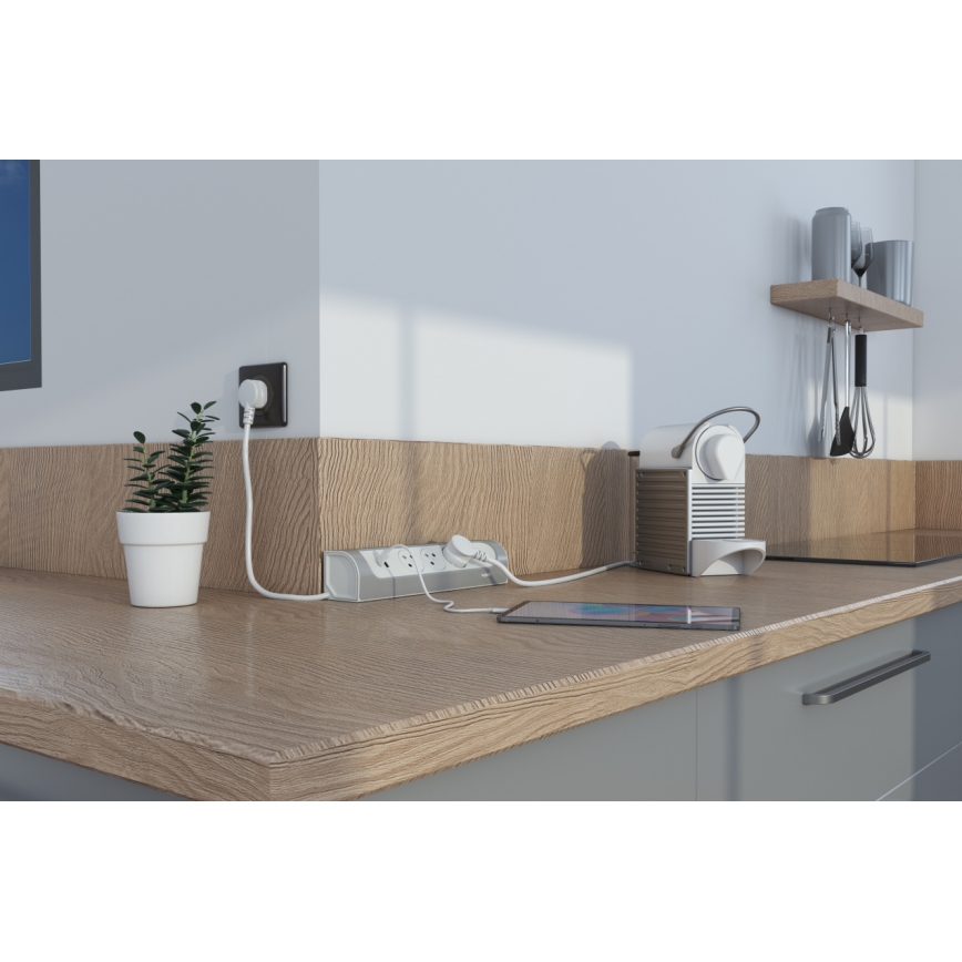 Legrand 049406 - Καλώδιο επέκτασης με 3 υποδοχές, τύπου E, με USB-A και USB-C, 1m, ασημί/λευκό