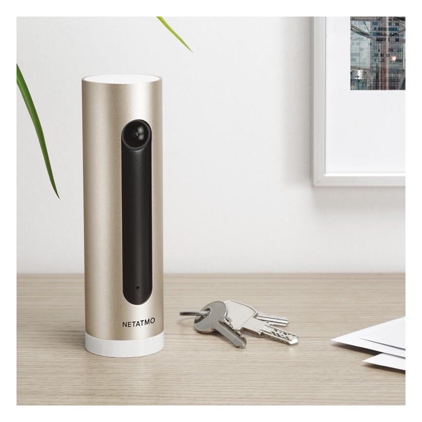 Legrand NSC-PRO - Ασύρματη IP κάμερα εσωτερικού χώρου Full HD 1080p 5V Wi-Fi