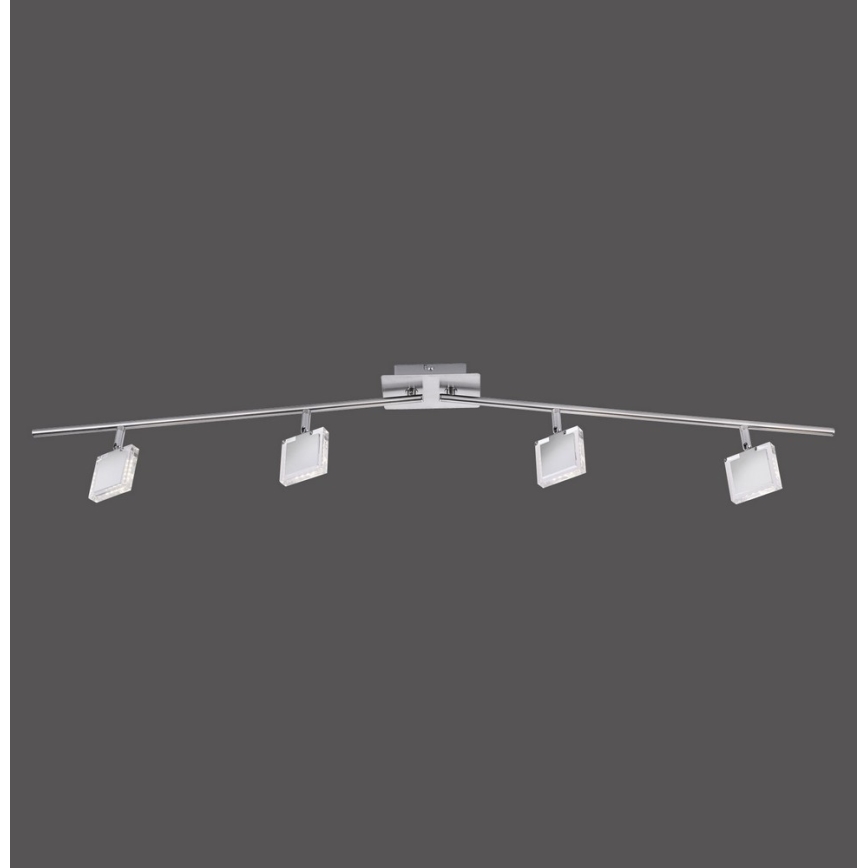 Leuchten Direkt 11084-55 - Φως σποτ LED TONY 4xLED/4W/230V
