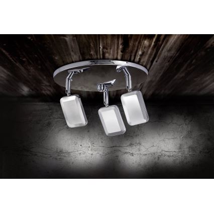 Leuchten Direkt 11243-17 - Φωτιστικό σποτ LED WELLA 3xLED/4,2W/230V