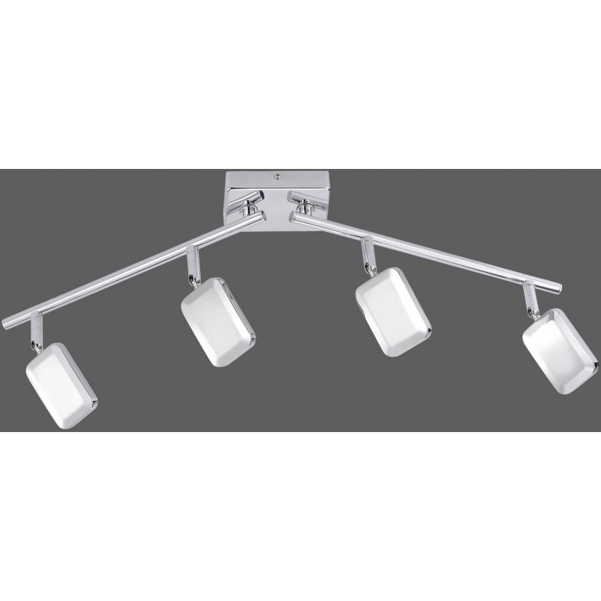 Leuchten Direkt 11244-17 - Φωτιστικό σποτ LED WELLA 4xLED/4,2W/230V