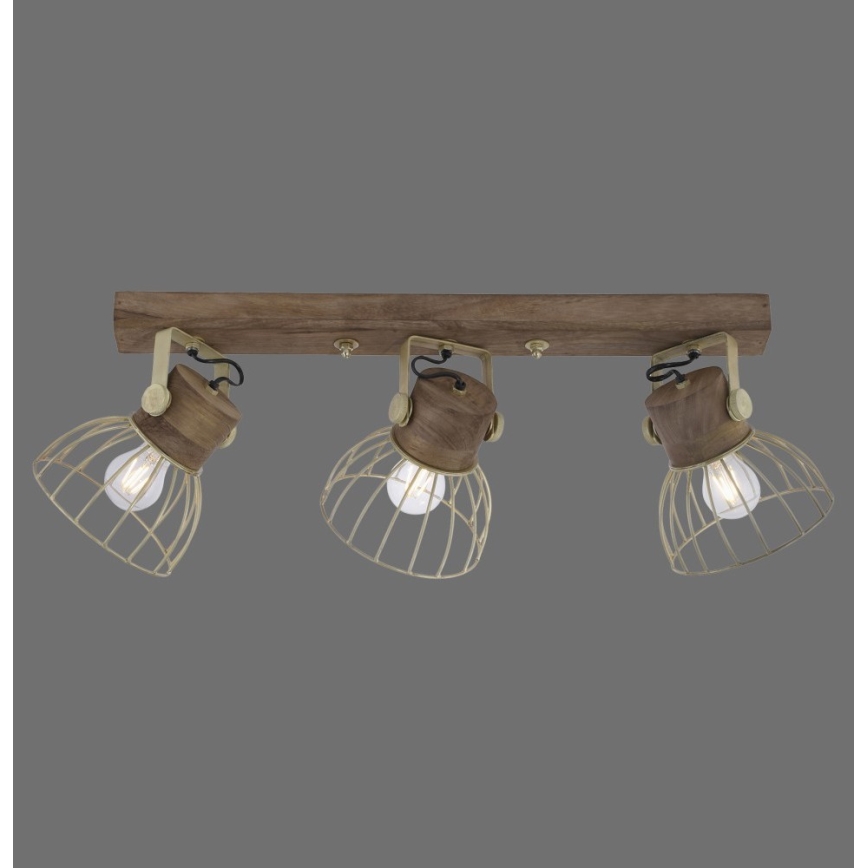 Leuchten Direkt 11488-60 - Φωτιστικό σποτ ALAMI 3xE27/25W/230V μάνγκο