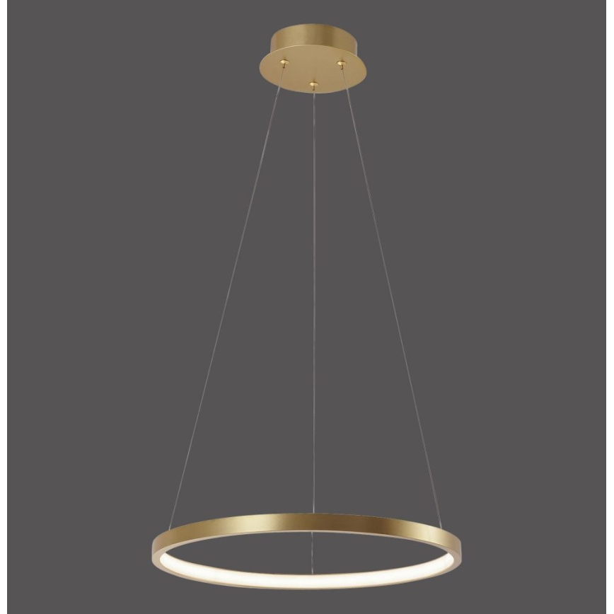 Leuchten Direkt 11522-12 - Πολύφωτο LED σε σχοινί CIRCLE LED/19W/230V