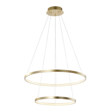 Leuchten Direkt 11525-12 -Πολύφωτο LED σε σχοινί CIRCLE LED/18,5W/230V + LED/23,5W