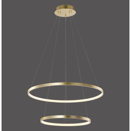 Leuchten Direkt 11525-12 -Πολύφωτο LED σε σχοινί CIRCLE 1xLED/18,5W/230V + LED/23,5W