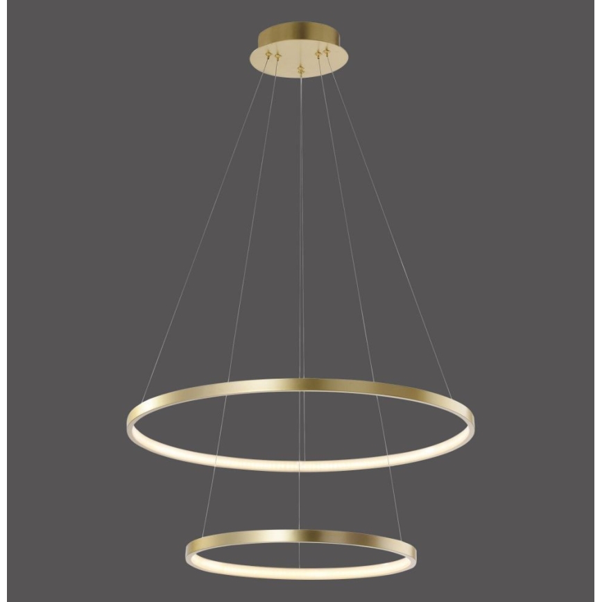 Leuchten Direkt 11525-12 -Πολύφωτο LED σε σχοινί CIRCLE 1xLED/18,5W/230V + LED/23,5W
