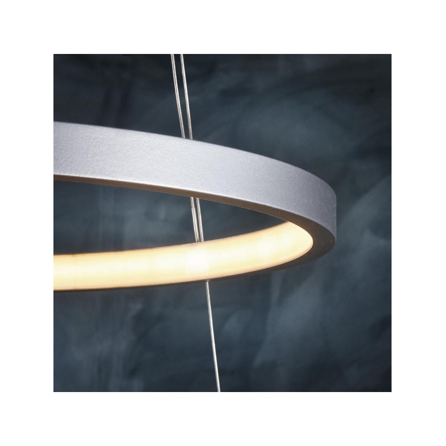 Leuchten Direkt 11525-21 - Πολύφωτο LED σε σχοινί CIRCLE 1xLED/15W/230V + LED/25W