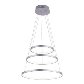 Leuchten Direkt 11526-55 - Ρυθμιζόμενο κρεμαστό φωτιστικό με καλώδιο ανάρτησης CIRCLE LED/13,5W/230V + LED/19,5W + LED/24W