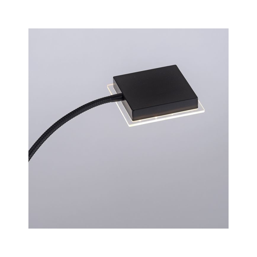 Leuchten Direkt 11710-18 - Φωτιστικό δαπέδου LED Dimmable HANS LED/21,5W/230V + LED/4W