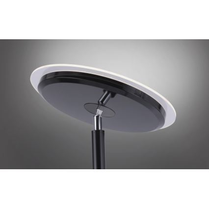 Leuchten Direkt 11729-18 - Φωτιστικό δαπέδου LED Dimmable HANS LED/22W/230V