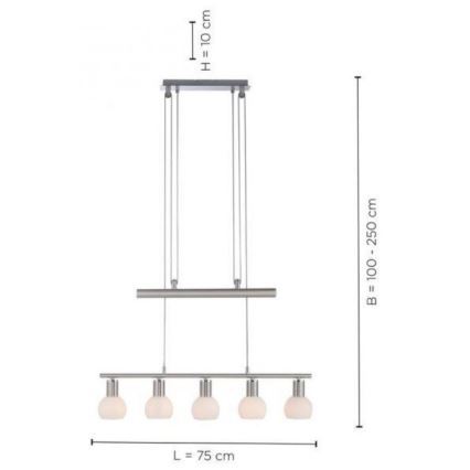 Leuchten Direkt 11939-55 - Πολύφωτο κρεμαστό ράγα BENEDIKT 5xE14/40W/230V