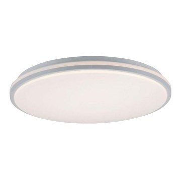 Leuchten Direkt 14208-16 - LED Dimmable φωτιστικό οροφής COLIN LED/18W/230V