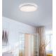 Leuchten Direkt 14208-16 - LED Dimmable φωτιστικό οροφής COLIN LED/18W/230V