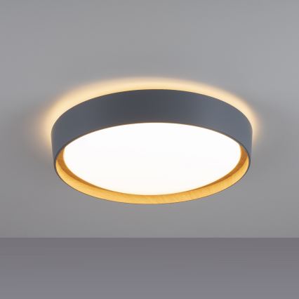 Leuchten Direkt 14347-15 - LED Dimmable φωτιστικό οροφής EMILIA LED/28,8W/230V γκρι