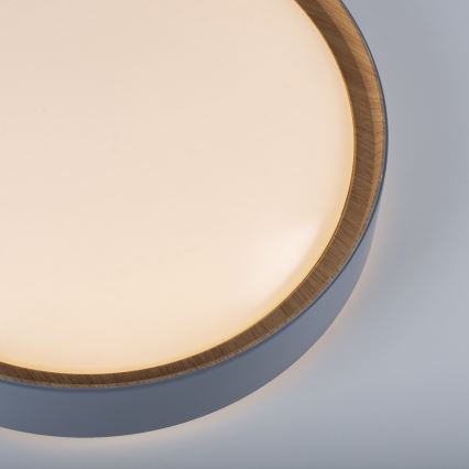 Leuchten Direkt 14347-15 - Ρυθμιζόμενο LED οροφής φωτιστικό EMILIA LED/28,8W/230V γκρι