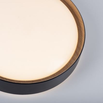 Leuchten Direkt 14347-18 - Ρυθμιζόμενο φωτιστικό LED EMILIA LED/28,8W/230V μαύρο