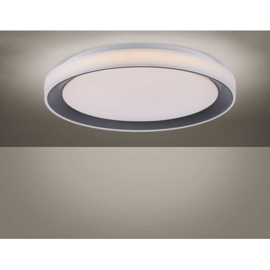 Leuchten Direkt 14659-18 - Φως οροφής dimmer LED RGB LOLA LED/24W/230V Tuya + τηλεχειριστήριο