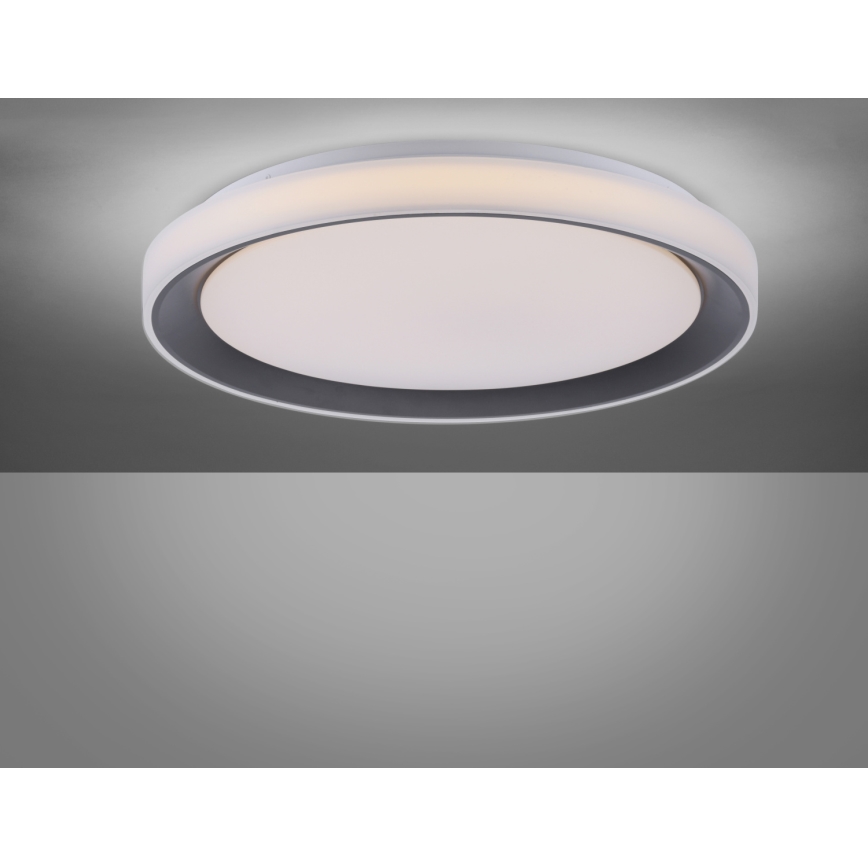 Leuchten Direkt 14659-18 - Φως οροφής dimmer LED RGB LOLA LED/24W/230V Tuya + τηλεχειριστήριο