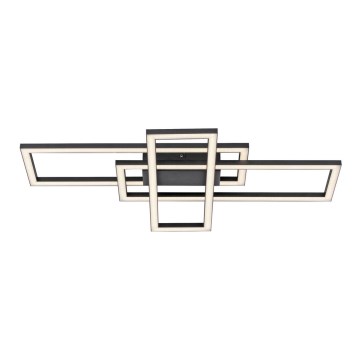 Leuchten Direkt 14697-18 - Ρυθμιζόμενο LED οροφής φωτιστικό IVEN LED/24W/230V