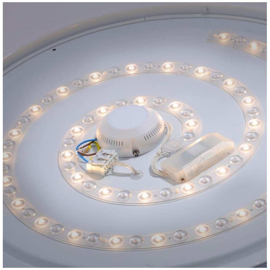 Leuchten Direkt 14822-17 - Φωτιστικό οροφής LED μπάνιου με αισθητήρα LAVINIA LED/40W/230V IP44