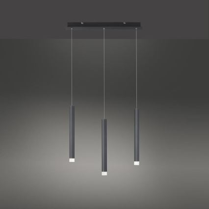 Leuchten Direkt 15203-18 - LED Πολύφωτο ράγα 3xLED/4,8W/230V μαύρο