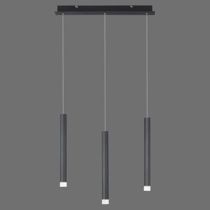 Leuchten Direkt 15203-18 - LED Πολύφωτο ράγα 3xLED/4,8W/230V μαύρο