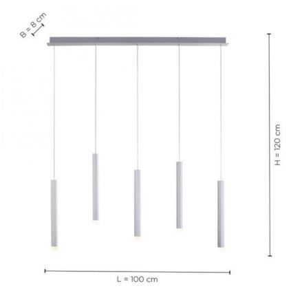 Leuchten Direkt 15205-95 - LED Πολύφωτο κρεμαστό ράγα BRUNO 5xLED/4,8W/230V