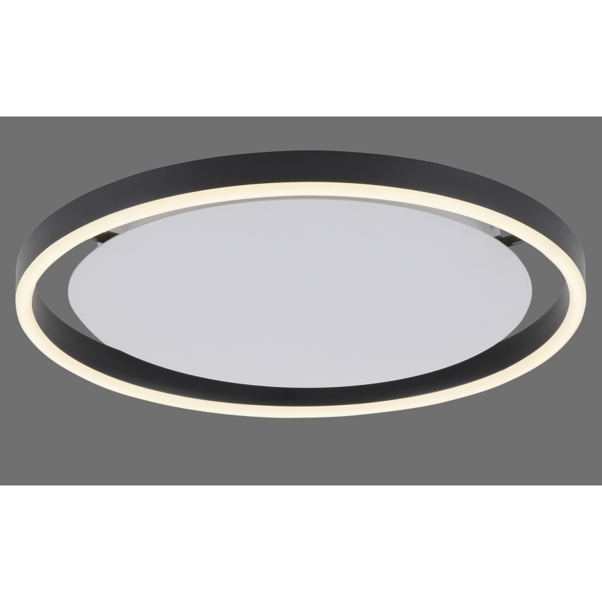 Leuchten Direkt 15391-13 - Ρυθμιζόμενο LED οροφής φωτιστικό RITUS LED/20W/230V μαύρο