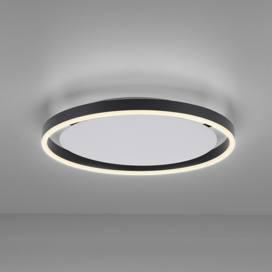 Leuchten Direkt 15391-13 - Ρυθμιζόμενο LED οροφής φωτιστικό RITUS LED/20W/230V μαύρο