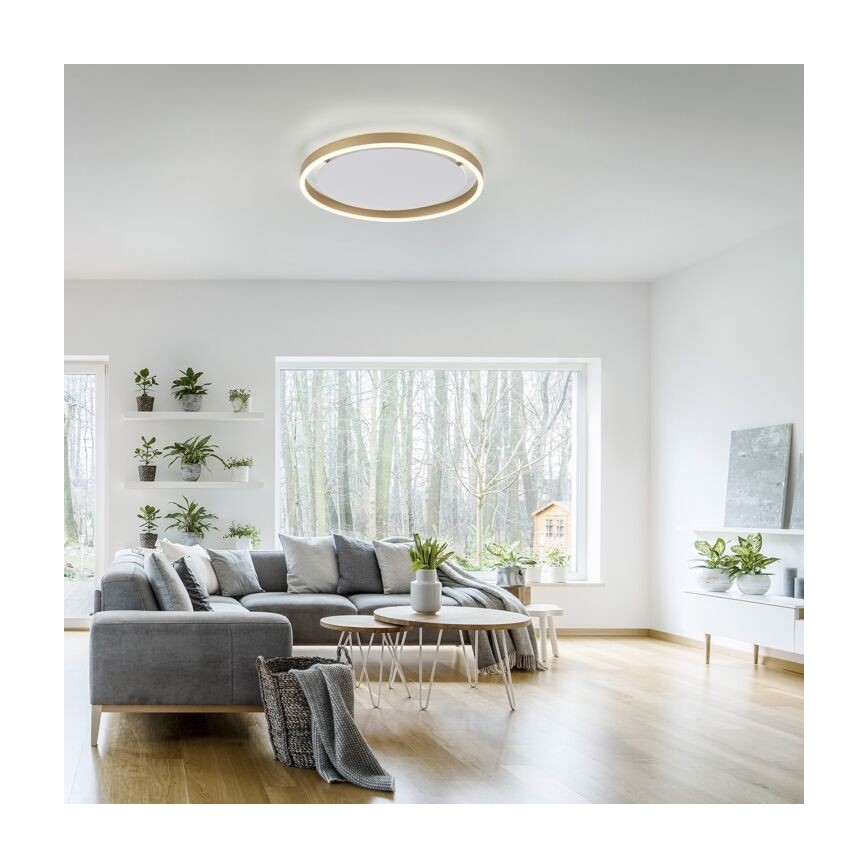 Leuchten Direkt 15392-60 - LED Dimmable φωτιστικό οροφής RITUS LED/30W/230V χάλκινο