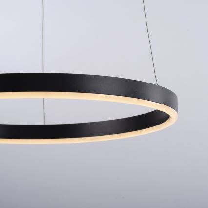 Leuchten Direkt 15393-13 - LED ρυθμιζόμενο φωτιστικό ανάρτησης με καλώδιο RITUS LED/23,5W/230V μαύρο