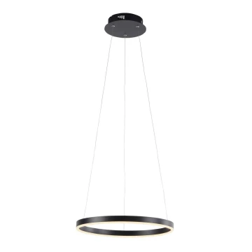 Leuchten Direkt 15393-13 - Ρυθμιζόμενο LED φωτιστικό οροφής με καλώδιο RITUS LED/20W/230V μαύρο