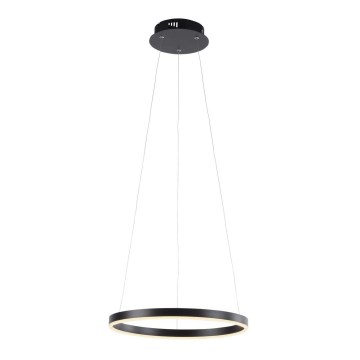 Leuchten Direkt 15393-13 - Ρυθμιζόμενο LED φωτιστικό οροφής με καλώδιο RITUS LED/20W/230V μαύρο