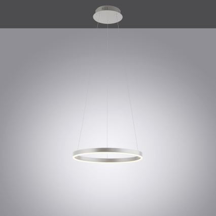 Leuchten Direkt 15393-95 - Led Dimmable κρεμαστό φωτιστικό οροφής RITUS LED/20W/230V ματ χρώμιο