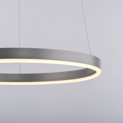 Leuchten Direkt 15393-95 - Led Dimmable κρεμαστό φωτιστικό οροφής RITUS LED/20W/230V ματ χρώμιο