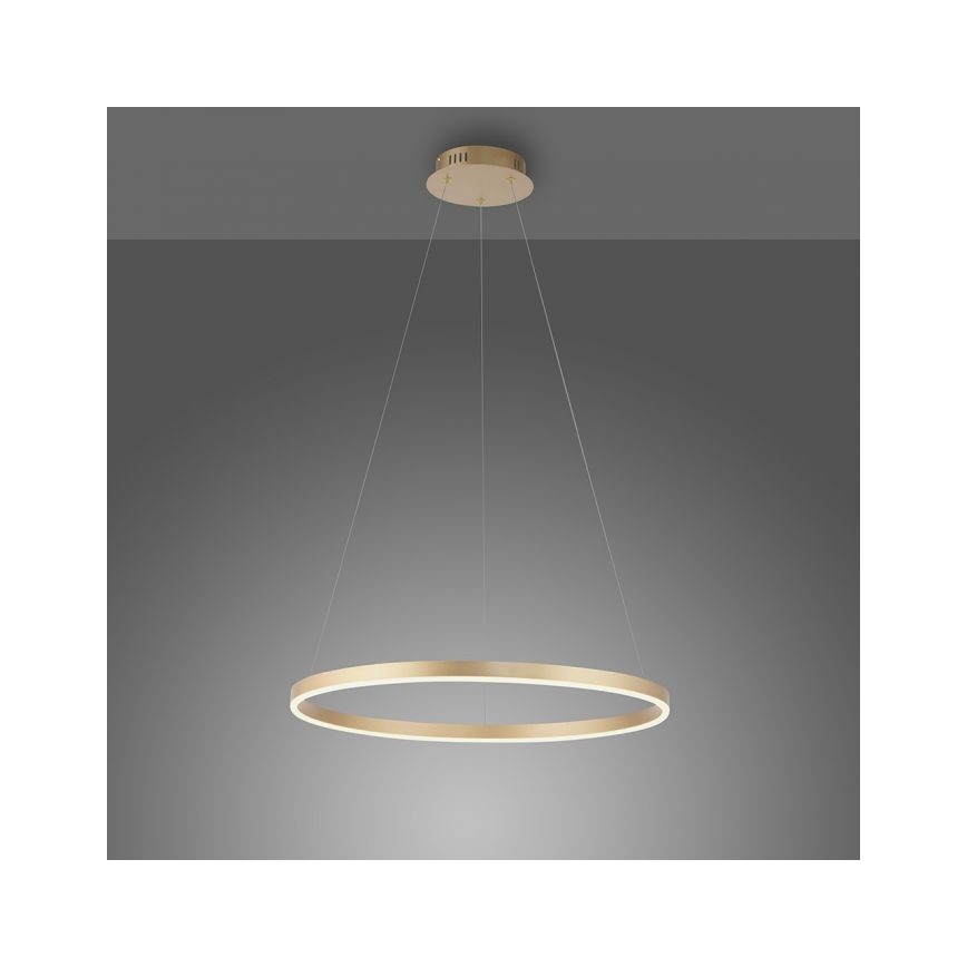 .Leuchten Direkt 15394-60 - LED Dimmable κρεμαστό φωτιστικό οροφής RITUS LED/30W/230V