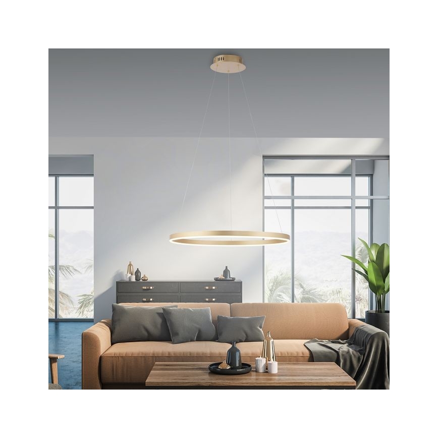 .Leuchten Direkt 15394-60 - LED Dimmable κρεμαστό φωτιστικό οροφής RITUS LED/30W/230V