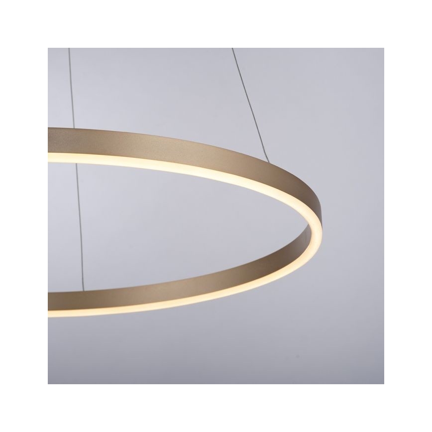 .Leuchten Direkt 15394-60 - LED Dimmable κρεμαστό φωτιστικό οροφής RITUS LED/30W/230V