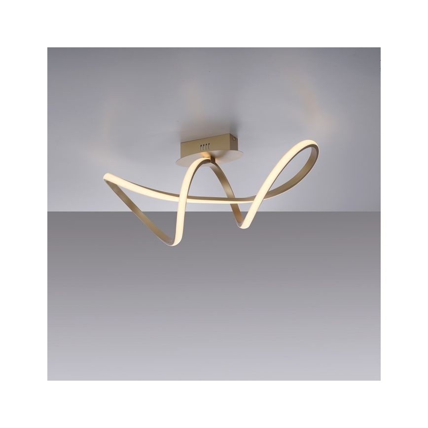 Leuchten Direkt 15403-60 - LED Dimmable πλαφονιέρα οροφής MARIA LED/15,5W/230V